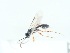  ( - NHMUK010884698)  @11 [ ] Unspecified (default): All Rights Reserved  Unspecified Unspecified