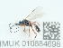  ( - NHMUK010884698)  @11 [ ] Unspecified (default): All Rights Reserved  Unspecified Unspecified