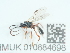  ( - NHMUK010884698)  @11 [ ] Unspecified (default): All Rights Reserved  Unspecified Unspecified