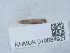  ( - NHMUK010884921)  @11 [ ] Unspecified (default): All Rights Reserved  Unspecified Unspecified