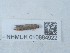  ( - NHMUK010884922)  @11 [ ] Unspecified (default): All Rights Reserved  Unspecified Unspecified