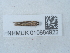  ( - NHMUK010884922)  @11 [ ] Unspecified (default): All Rights Reserved  Unspecified Unspecified