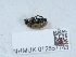  ( - NHMUK012857743)  @11 [ ] Unspecified (default): All Rights Reserved  Unspecified Unspecified