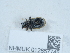  ( - NHMUK012857745)  @11 [ ] Unspecified (default): All Rights Reserved  Unspecified Unspecified