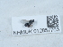  ( - NHMUK012857753)  @11 [ ] Unspecified (default): All Rights Reserved  Unspecified Unspecified
