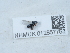  ( - NHMUK012857753)  @11 [ ] Unspecified (default): All Rights Reserved  Unspecified Unspecified