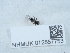  ( - NHMUK012857753)  @11 [ ] Unspecified (default): All Rights Reserved  Unspecified Unspecified
