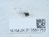  ( - NHMUK012857753)  @11 [ ] Unspecified (default): All Rights Reserved  Unspecified Unspecified
