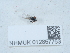  ( - NHMUK012857753)  @11 [ ] Unspecified (default): All Rights Reserved  Unspecified Unspecified