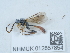  ( - NHMUK012857854)  @11 [ ] Unspecified (default): All Rights Reserved  Unspecified Unspecified