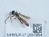  ( - NHMUK012857854)  @11 [ ] Unspecified (default): All Rights Reserved  Unspecified Unspecified