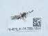  ( - NHMUK012857856)  @11 [ ] Unspecified (default): All Rights Reserved  Unspecified Unspecified