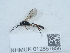  ( - NHMUK012857856)  @11 [ ] Unspecified (default): All Rights Reserved  Unspecified Unspecified