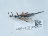  ( - NHMUK012857860)  @11 [ ] Unspecified (default): All Rights Reserved  Unspecified Unspecified