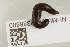  ( - NHMUK013388800)  @11 [ ] Unspecified (default): All Rights Reserved  Unspecified Unspecified