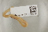  ( - NHMUK013388804)  @11 [ ] Unspecified (default): All Rights Reserved  Unspecified Unspecified