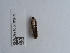  ( - NHMUK013697049)  @11 [ ] Unspecified (default): All Rights Reserved  Unspecified Unspecified