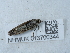  ( - NHMUK013700344)  @11 [ ] Unspecified (default): All Rights Reserved  Unspecified Unspecified