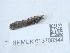  ( - NHMUK013700344)  @11 [ ] Unspecified (default): All Rights Reserved  Unspecified Unspecified