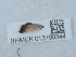  ( - NHMUK013700344)  @11 [ ] Unspecified (default): All Rights Reserved  Unspecified Unspecified