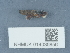  ( - NHMUK014036856)  @11 [ ] Unspecified (default): All Rights Reserved  Unspecified Unspecified