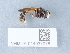  ( - NHMUK014037078)  @11 [ ] Unspecified (default): All Rights Reserved  Unspecified Unspecified
