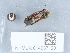  ( - NHMUK014037120)  @11 [ ] Unspecified (default): All Rights Reserved  Unspecified Unspecified