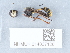  ( - NHMUK014037120)  @11 [ ] Unspecified (default): All Rights Reserved  Unspecified Unspecified