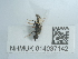  ( - NHMUK014037142)  @11 [ ] Unspecified (default): All Rights Reserved  Unspecified Unspecified