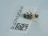  ( - NHMUK014037142)  @11 [ ] Unspecified (default): All Rights Reserved  Unspecified Unspecified