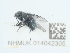  ( - NHMUK014042305)  @11 [ ] Unspecified (default): All Rights Reserved  Unspecified Unspecified
