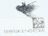  ( - NHMUK014042305)  @11 [ ] Unspecified (default): All Rights Reserved  Unspecified Unspecified
