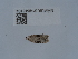  ( - NHMUK014043104)  @11 [ ] Unspecified (default): All Rights Reserved  Unspecified Unspecified