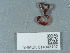  ( - NHMUK014043107)  @11 [ ] Unspecified (default): All Rights Reserved  Unspecified Unspecified