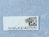  ( - NHMUK014043150)  @11 [ ] Unspecified (default): All Rights Reserved  Unspecified Unspecified