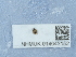  ( - NHMUK014043152)  @11 [ ] Unspecified (default): All Rights Reserved  Unspecified Unspecified
