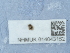  ( - NHMUK014043152)  @11 [ ] Unspecified (default): All Rights Reserved  Unspecified Unspecified