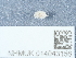  ( - NHMUK014043156)  @11 [ ] Unspecified (default): All Rights Reserved  Unspecified Unspecified