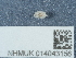  (Platyarthrus hoffmannseggi - NHMUK014043156)  @11 [ ] Unspecified (default): All Rights Reserved  Unspecified Unspecified