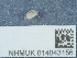  ( - NHMUK014043156)  @11 [ ] Unspecified (default): All Rights Reserved  Unspecified Unspecified