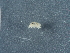  ( - NHMUK014043157)  @11 [ ] Unspecified (default): All Rights Reserved  Unspecified Unspecified