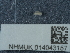  ( - NHMUK014043157)  @11 [ ] Unspecified (default): All Rights Reserved  Unspecified Unspecified