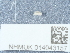  ( - NHMUK014043157)  @11 [ ] Unspecified (default): All Rights Reserved  Unspecified Unspecified