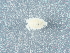  ( - NHMUK014043158)  @11 [ ] Unspecified (default): All Rights Reserved  Unspecified Unspecified