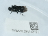  ( - NHMUK014043191)  @11 [ ] Unspecified (default): All Rights Reserved  Unspecified Unspecified