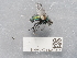  ( - NHMUK014380546)  @11 [ ] Unspecified (default): All Rights Reserved  Unspecified Unspecified