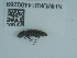  ( - NHMUK014400269)  @11 [ ] Unspecified (default): All Rights Reserved  Unspecified Unspecified