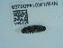  ( - NHMUK014400269)  @11 [ ] Unspecified (default): All Rights Reserved  Unspecified Unspecified
