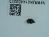  ( - NHMUK014400273)  @11 [ ] Unspecified (default): All Rights Reserved  Unspecified Unspecified