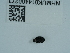 ( - NHMUK014400273)  @11 [ ] Unspecified (default): All Rights Reserved  Unspecified Unspecified